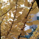 파주시청(별관) 이미지