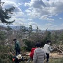 솔잎미용실 - 동구 망양로 611 | 솔잎미용실