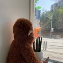 진이찬방제주 | 제주 , 어때요 ?