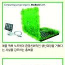 신*식태양광발전소 이미지