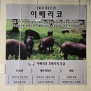 애막골 이걸굽네 이미지