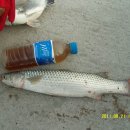 대강점빵 이미지