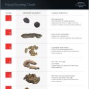 다올동물병원 이미지