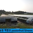 연화농원 이미지