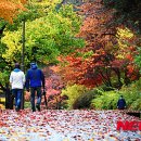 가을 이미지