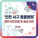 청라 공감 동물의료센터 | 인천 서구 동물병원 예약 방법 및 야간진료 바로가기 (+응급 상황 대처)