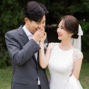 아벨로헤어 이미지