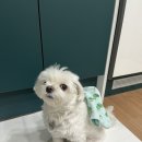 서울미용타운 이미지
