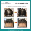 닥터모다르서초양재점 이미지
