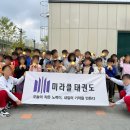 미라클태권도장 이미지