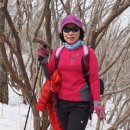 터널산장 이미지