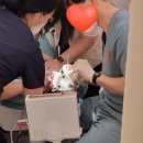 따뜻안치과의원 이미지