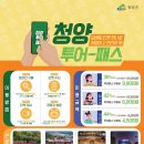 유일투어 이미지