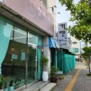 쌀며시 네이버블로그