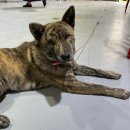 청경전복유통 이미지