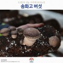 산아래농장 이미지