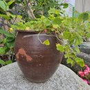 보광마트 이미지