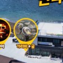 바다해물나라민박 이미지