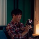 도그데이즈 이미지