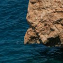 eco green farm | 제로웨이스트 여행이 가능한 제주 비밀 해변 리스트: 숨겨진 5곳의 자연 보물찾기!