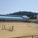 복용승마장 이미지