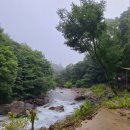 로즈마리팬션 이미지