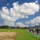 하얀구름 이미지