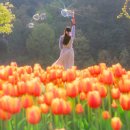 옥연지 송해공원: 봄의 아름다움 이미지