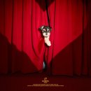 마고스튜디오 | [일상스냅] 서울 이대 ｜강아지 동반 크리스마스 스냅 대성공 후기, 마고픽 스튜디오