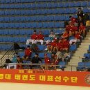 북내태권도장 Daum카페