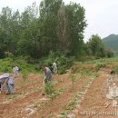 농선농장 이미지