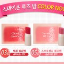 스테이영 이미지