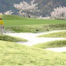 베스트회원권거래소