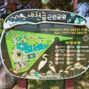 정자세천 이미지