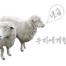 요거프레소건국대점