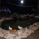 지리산봄날 이미지