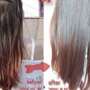 이호발전소 이미지