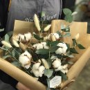 도깨비다방 이미지