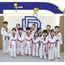 경희대 두드림 태권도장 이미지