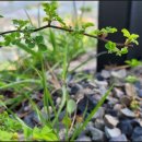 커피바리스타자격반(야간) 이미지