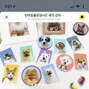 댕댕이냥 이미지