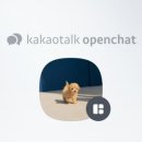 논산애견미용학원 이미지