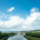 태화강 나룻배 이미지