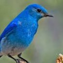 대원공원(분수대) 이미지