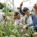 서산태안6쪽마늘조합 공동사업법인 이미지