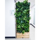 안양시청 앞 이미지