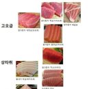 동원참치보라매점 이미지