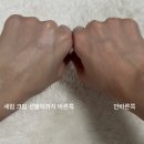 비키스킨(VIKI SKIN) | 에스테틱 화장품 사용기｜벨모나 홀딩타임톡스크림 & 스템셀 세럼, 선크림 후기