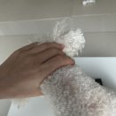 신동탄약국 이미지