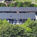 대정태양광발전소 이미지